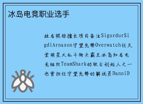 冰岛电竞职业选手